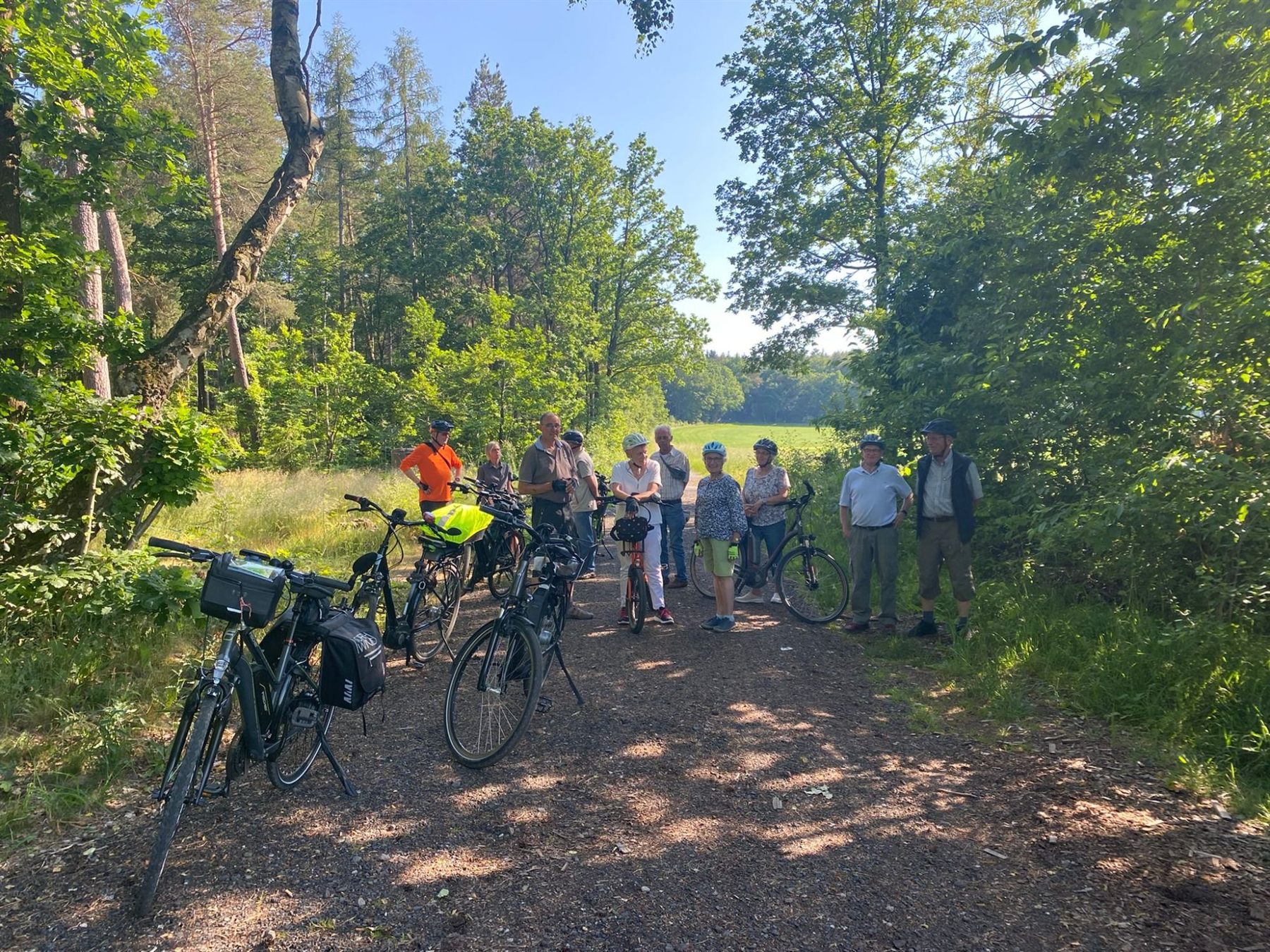 Gruppe von E-Bike-Fahrern macht Pause auf einem Waldweg
