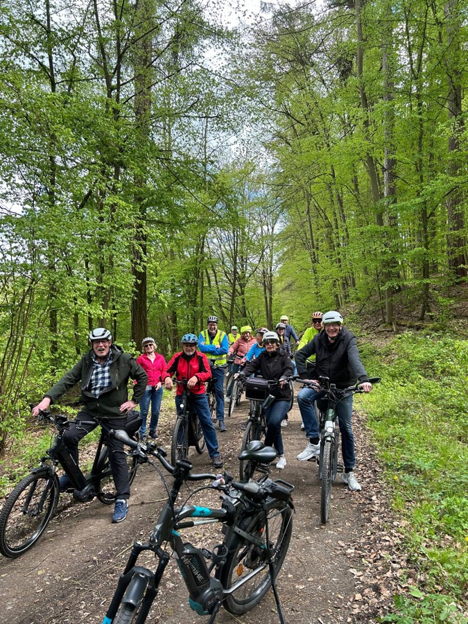 E-Bike-Gruppe am Anstieg im Wald