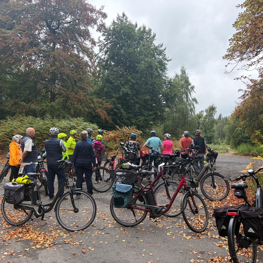 E-Bike-Gruppe auf einem Waldweg im Herbst