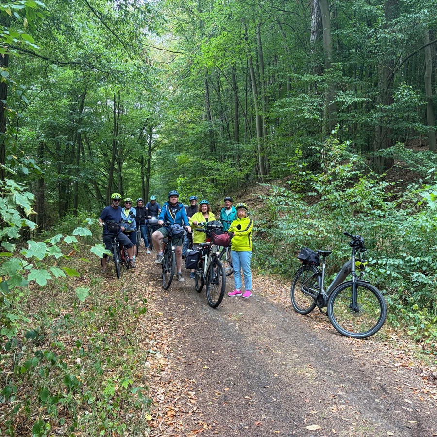 E-Bike-Gruppe auf einem Waldweg im Sommer