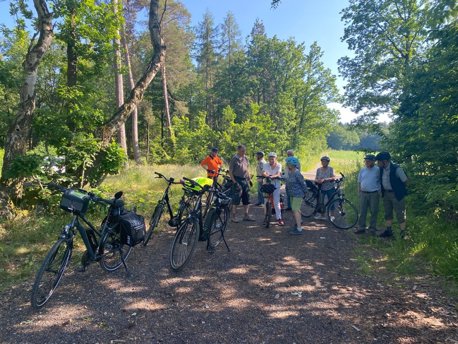 Pause mit E-Bikes am Waldrand