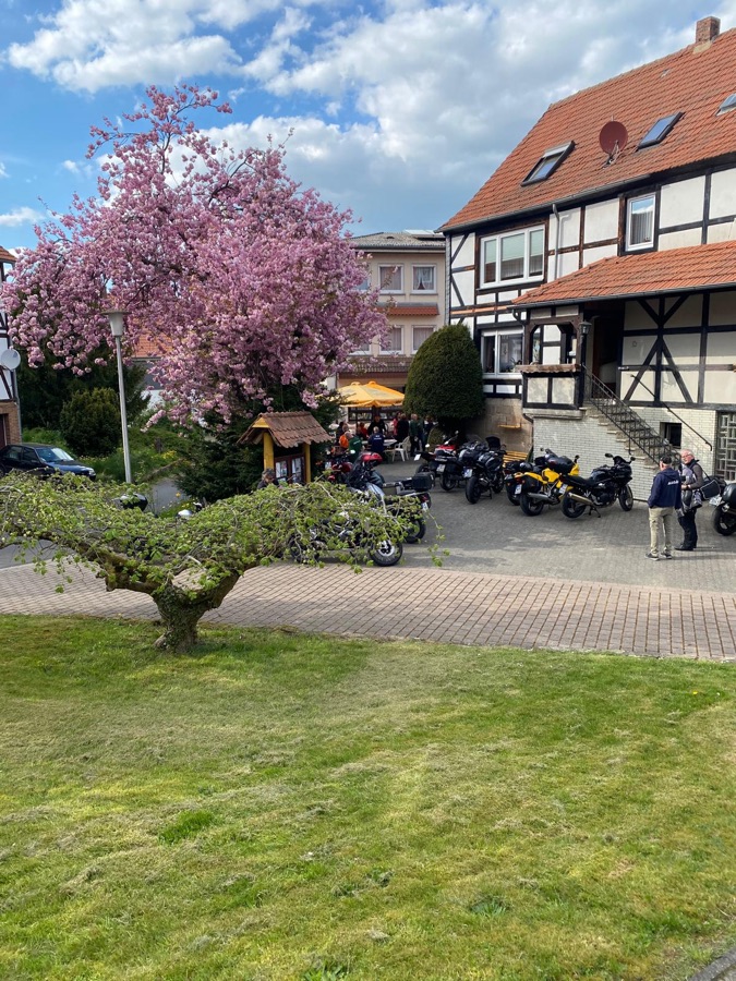 Blühender Kirschbaum im Hof, dahinter Motorräder