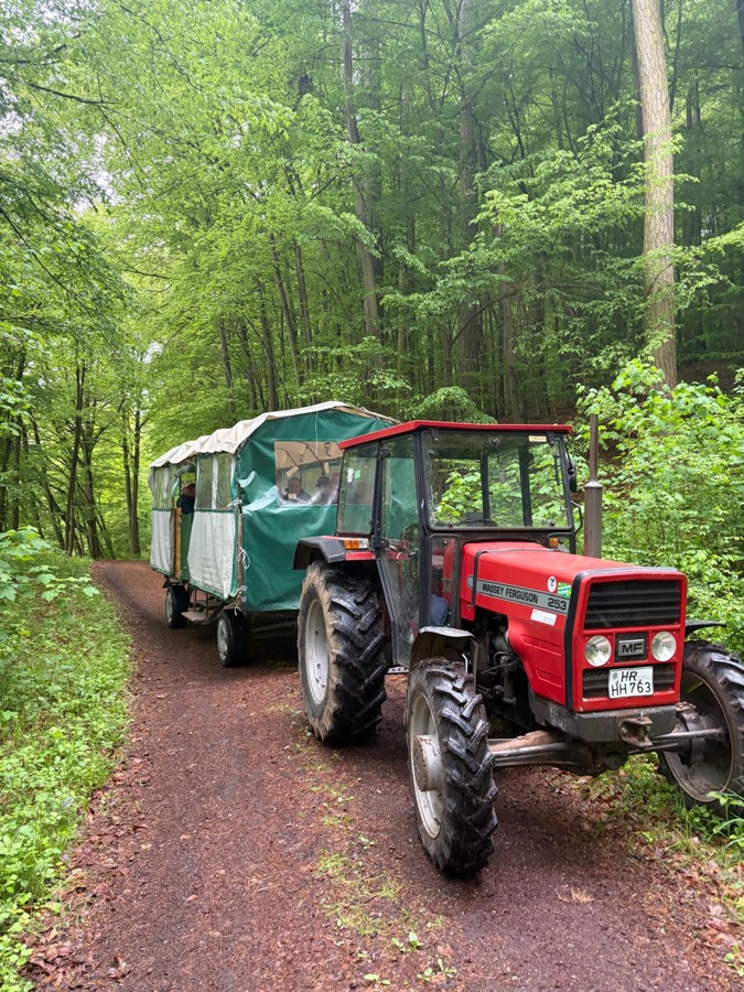 Traktor mit Planwagen auf dem Waldweg
